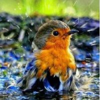 María Viñuela del Jeso