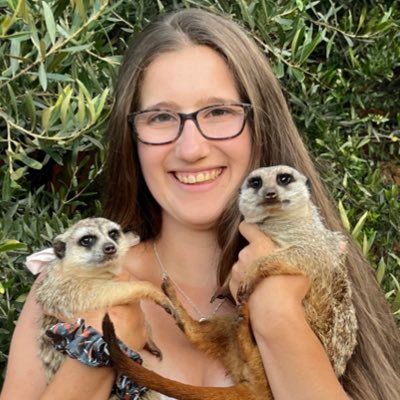 Lotte is querying Just Add Water