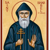 Elena ن Maronite 🇱🇧🇧🇪🇷🇺🇸🇾