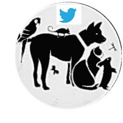 🎬María Eugenia🌳🐾📚🇨🇱