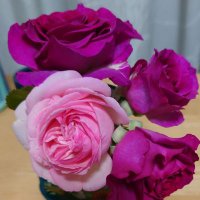 ゆじゅ⭐️🚂あざすの秘書