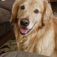 The Real Avery Lynch