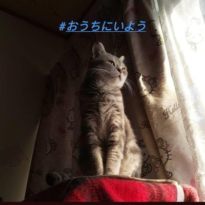 光る川…朝＠ゼロマスオ部長