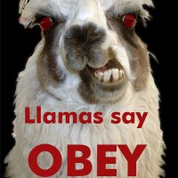 Rogue llama