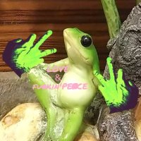 蛙、なぜ鳴くの。蛙の勝手でしょ。オゲエ。