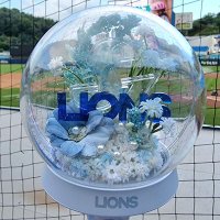 푸른갈기💙🦁