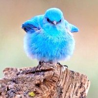 💧Helen Dawson ⧖