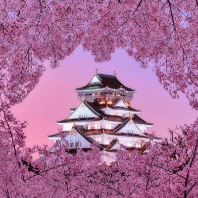 さだ🚶‍♂️🚶‍♂️@大阪の民