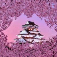 さだ🚶‍♂️🚶‍♂️@大阪の民