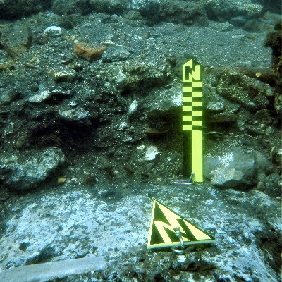 CDCI-Scientific Area