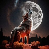 🐺🤘🦅Tc Necati GÖKTÜRK☾☆🇹🇷👆 Sivas 58