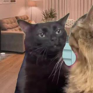 Desprovido de Dinheiro