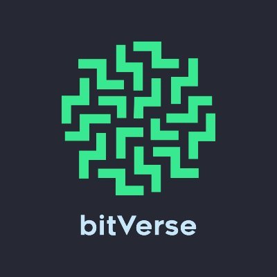 bitVerse