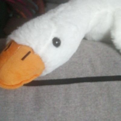 całym sercem za prawicą /bb