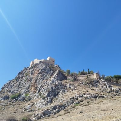 Francisco Baena Calvo