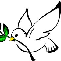 チャラン・著述家雑談カープ