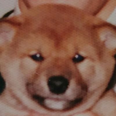 いっちゃん🐶🤍🙂