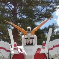 おっさん(55歳)のダイエット