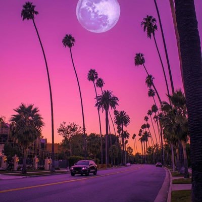 🌵Romy__Czne 🇫🇷🦁