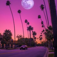 🌵Romy__Czne 🇫🇷🦁