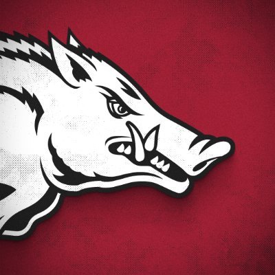 Arkansas Razorbacks 🐗