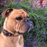 HetjaUA💙💛🦩🌻💚🏳️‍🌈🇪🇺🇺🇦