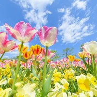 usa🩷 君の幸せを願って止まないよ！