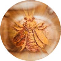 パブル(🟠💛🟠)