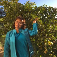 Angelica Calipso Oliva