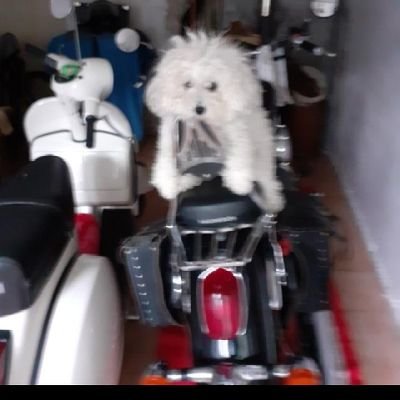 Nuvola Nuvola @Carolina16265870