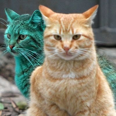 万力だった物𓃠😺