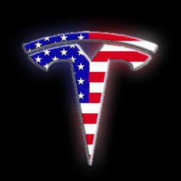 Tesla Patriot 🇺🇸