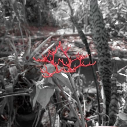 🌾 Silver Leferson 🌾