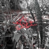 🌾 Silver Leferson 🌾