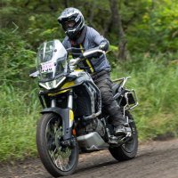 ナカヤンH4 今子猫