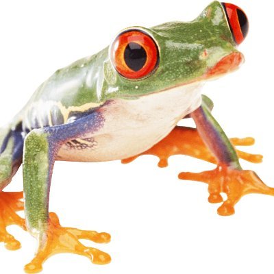 Jobfrog
