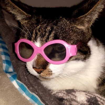 Rock & Tattoo Lady 🎸