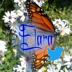 Elara~Climate is changing, we fix it or go extinct