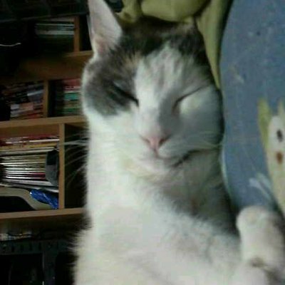 喜久ちゃんラブラブルミ子