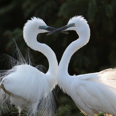 南唐南都（互fo）