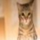 Oliver 🇵🇸 #MNDA2026