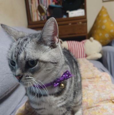 えびあん＠エコナ（くじら12号）