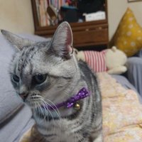 えびあん＠エコナ（くじら12号）