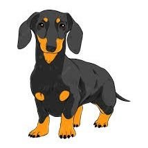 Dachshund club