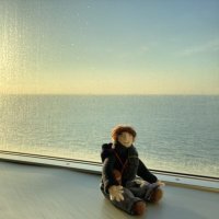 🦞貴ちゃん✩*.ﾟ