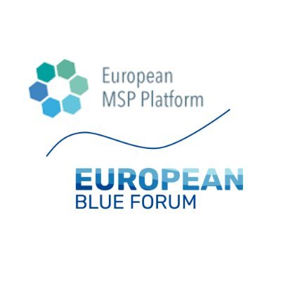 EU MSP Platform
