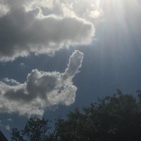 भटकता बादल⛈️