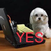 Nikki J Lawson😷🌹#IStandWithAlboPM💯