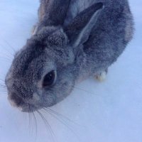 宇佐主水🗡️⚔️