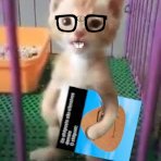 🎞️ shitposts.mp4 🎞️